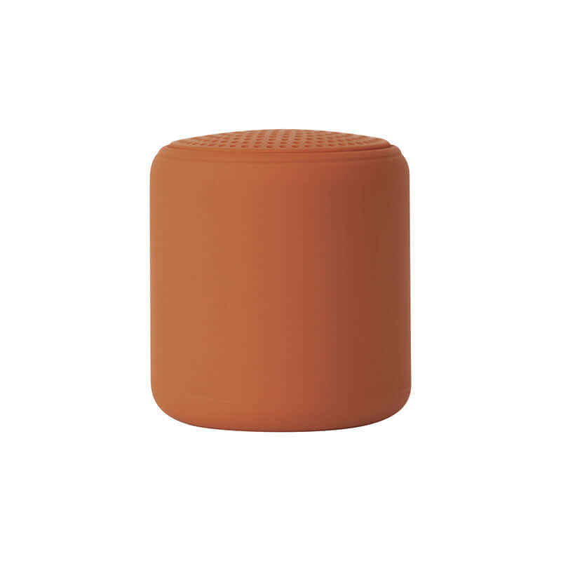 Mini Speaker